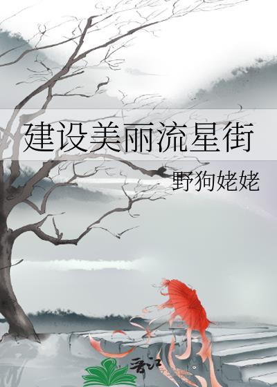 再怎么美丽也只能是流星