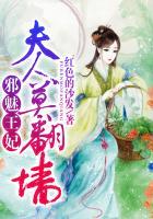 邪魅王妃不好惹