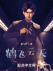 云飞鹤舞的出处