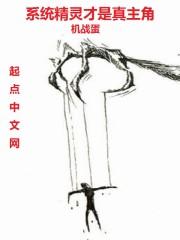 主角的系统精灵叫小灵