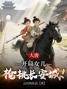 大唐开局女婿
