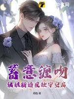 继婚