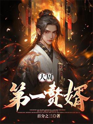 赘婿周天免费阅读