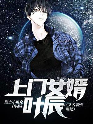 上门女婿叶辰完整版免费收听