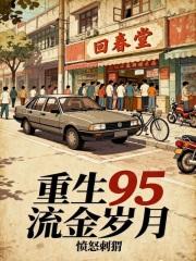 重生95流金岁月TXT