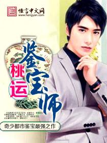桃运宝典林枫