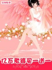 亿万老婆买一送一原版