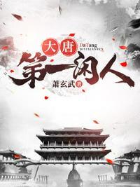 大唐第一闲人详解