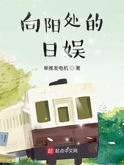 向阳处的日娱无防盗