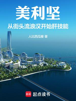 美利坚从街头流浪汉开始肝技能 无错