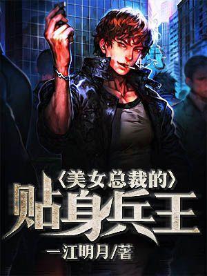 美女总裁的贴身兵王风飞扬