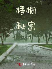 梧桐秘密在线阅读