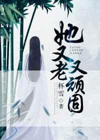 她又老又顽固晋江