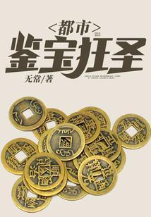 都市鉴宝狂圣校对版