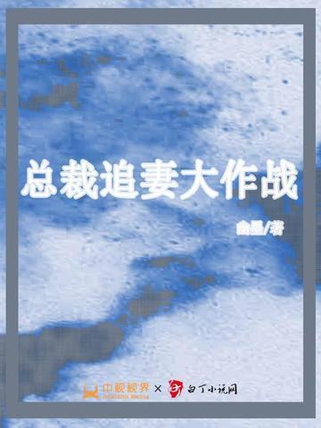 总裁追妻忙免费阅读