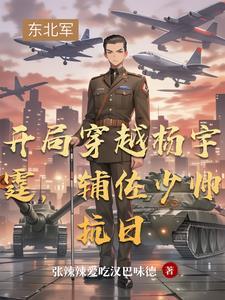 开局穿越杨宇霆辅佐少帅抗日