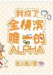 我成了全横滨唯一的alpha免费阅读