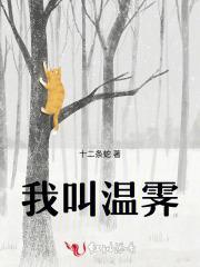 女主角叫温婳的