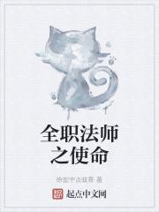 全职法师之全职招