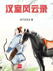 汉室风云录 聚合中文网