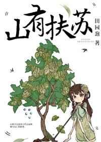 山有扶苏 美人关