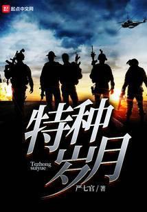 特种岁月txt