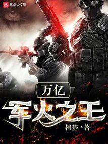 万亿军火之王无防盗无错
