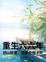 重生六六年记事