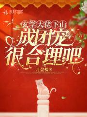 玄学大佬穿回来了[娱乐圈