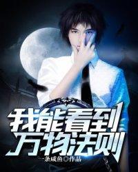 我能看见万物价值