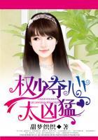 权少的专属逃妻