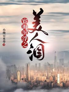 官海沉浮舍人在线阅读