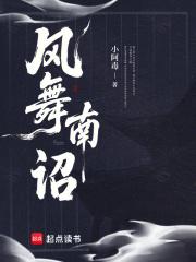 风起南诏最后凶手是谁