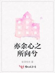 亦余心之所向兮全诗
