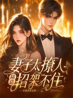 老婆很迷人骗婚总裁