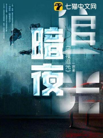 暗夜追光者