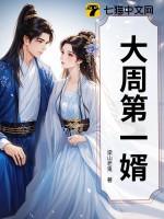 大周第一婿TXT