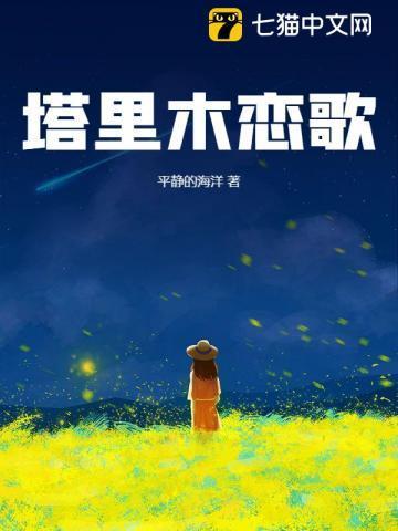 塔里木歌词是什么意思