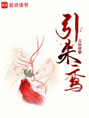 引朱鸾免费阅读