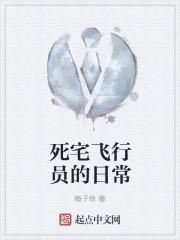 死宅飞行员的日常123