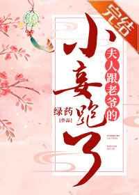 夫人跟老爷的小妾跑了司却疏