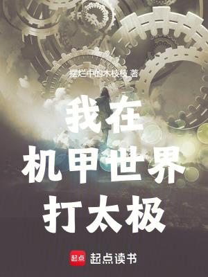 我在造机甲