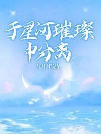 于星河璀璨中分离26集