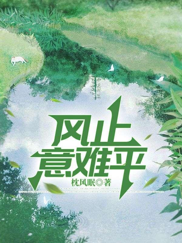 风止意难平下一句怎么接