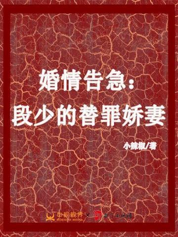 婚情告急战少撩妻高手