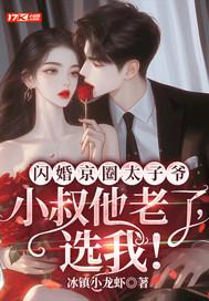 闪婚京圈太子爷小叔他老了选我