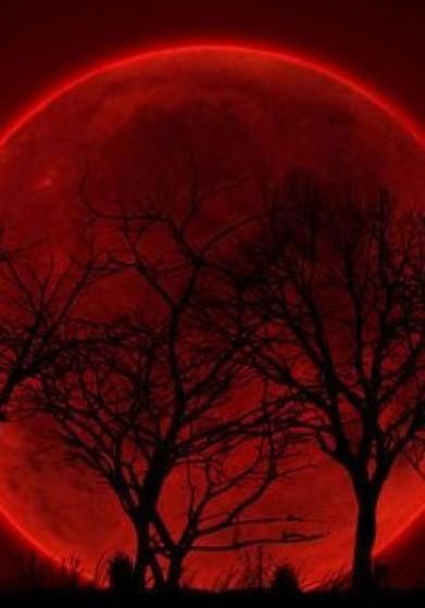 山神也混娱乐圈TXT最新章节