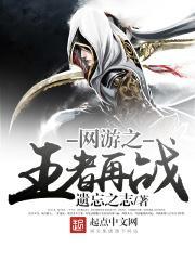 网游之王者再战的主角使用的是什么职业