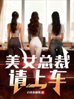 美女总裁是什么电视剧