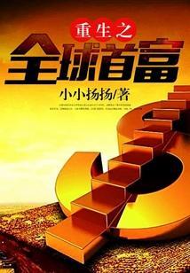 重生之全球首富小小扬扬